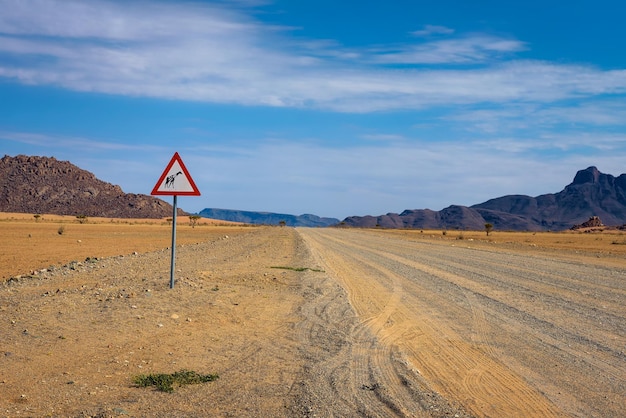 Girafas cruzando sinal de estrada de aviso colocado no deserto da Namíbia