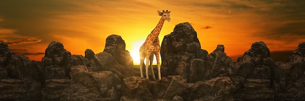 Giraffe bei Sonnenuntergang 3D-Rendering