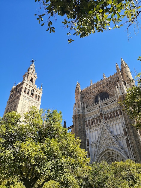 Giralda y fachada de la catedral de Sevilla