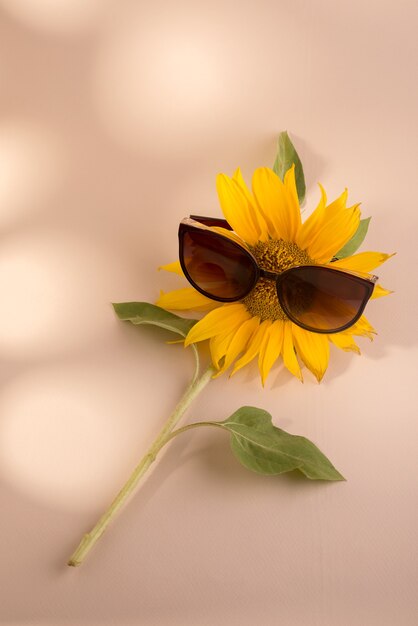 Girasol con gafas de sol sobre un fondo de papel beige bodegón de moda minimalista