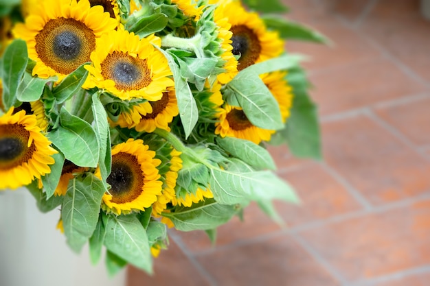 Foto girasol en el mercado