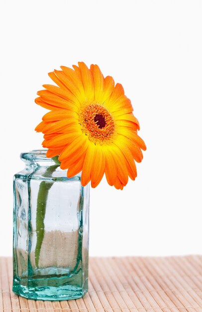 Girasol naranja en un matraz de vidrio