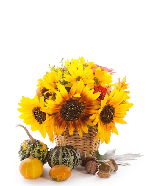 Girasoles y calabazas, nueces, bellotas aisladas en blanco