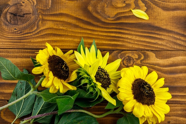 Girasoles decorativos en el fondo de madera. Vista superior, espacio de copia