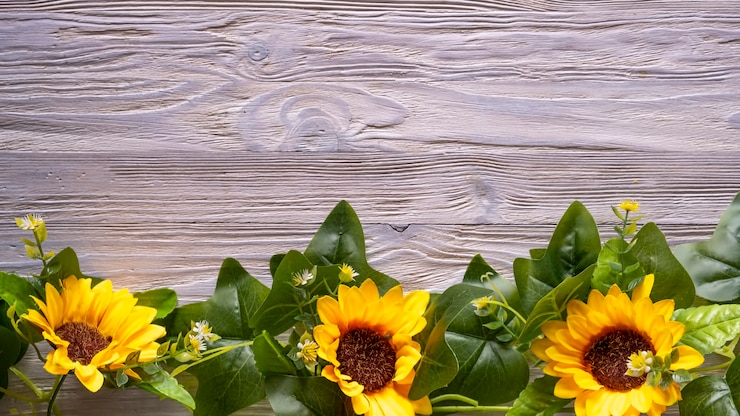 Foto girasoles en una mesa de madera. vista superior, espacio de copia