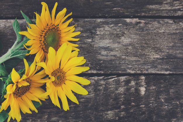 Girasoles en una mesa de madera