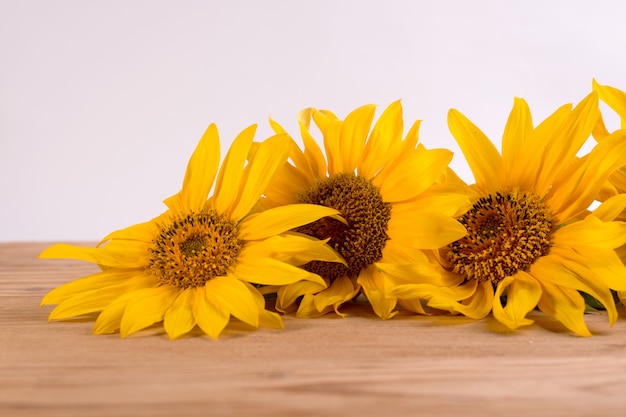 Girasoles en una mesa rústica de madera flores de verano de color amarillo brillante con espacio de copia