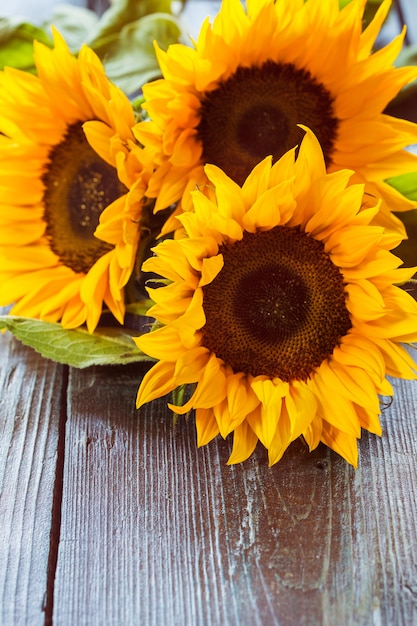 Girasoles en la mesa