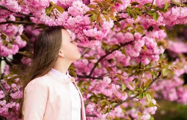 Girl Tourist posiert in der Nähe von Sakura Zarte Blüte Kind auf rosa Blüten von Sakura-Baum-Hintergrund Mädchen, das Kirschblüte oder Sakura genießt Nettes Kind genießt die Natur am Frühlingstag Aromatisches Blütenkonzept