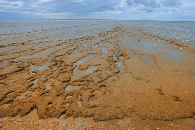 Gironde