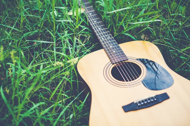 Gitarre im Wald Nimm eine Gitarre in den Wald.