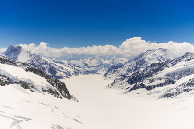 Glaciar en la cima de jungfraujoch