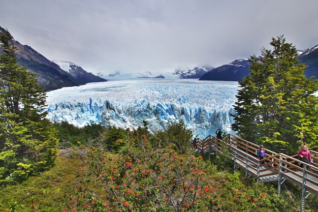 Glaciar Perito Moreno