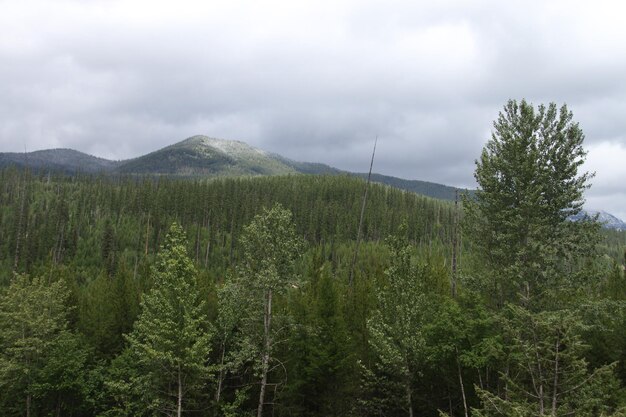 Glacier-Nationalpark Montana