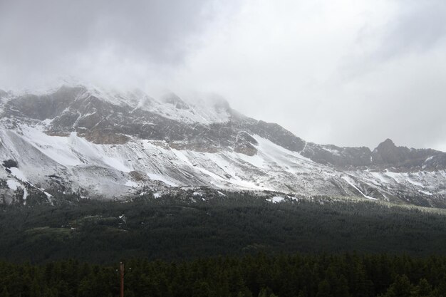 Glacier-Nationalpark Montana