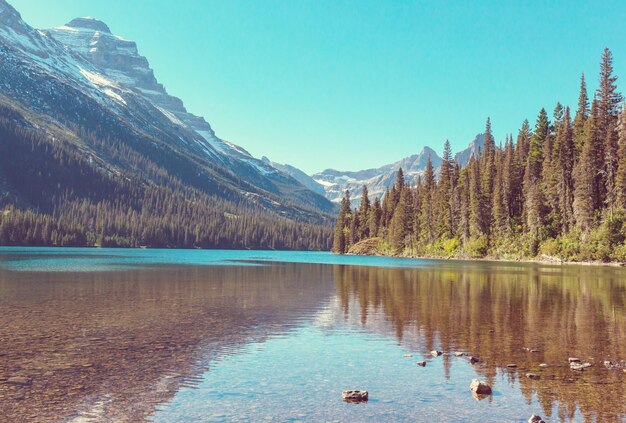 Glacier Park