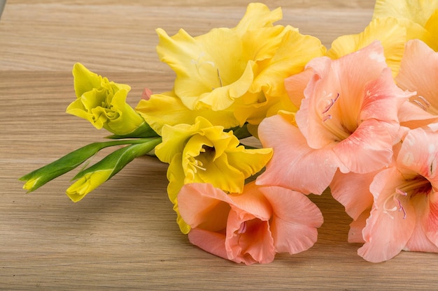 Gladiolenblüte