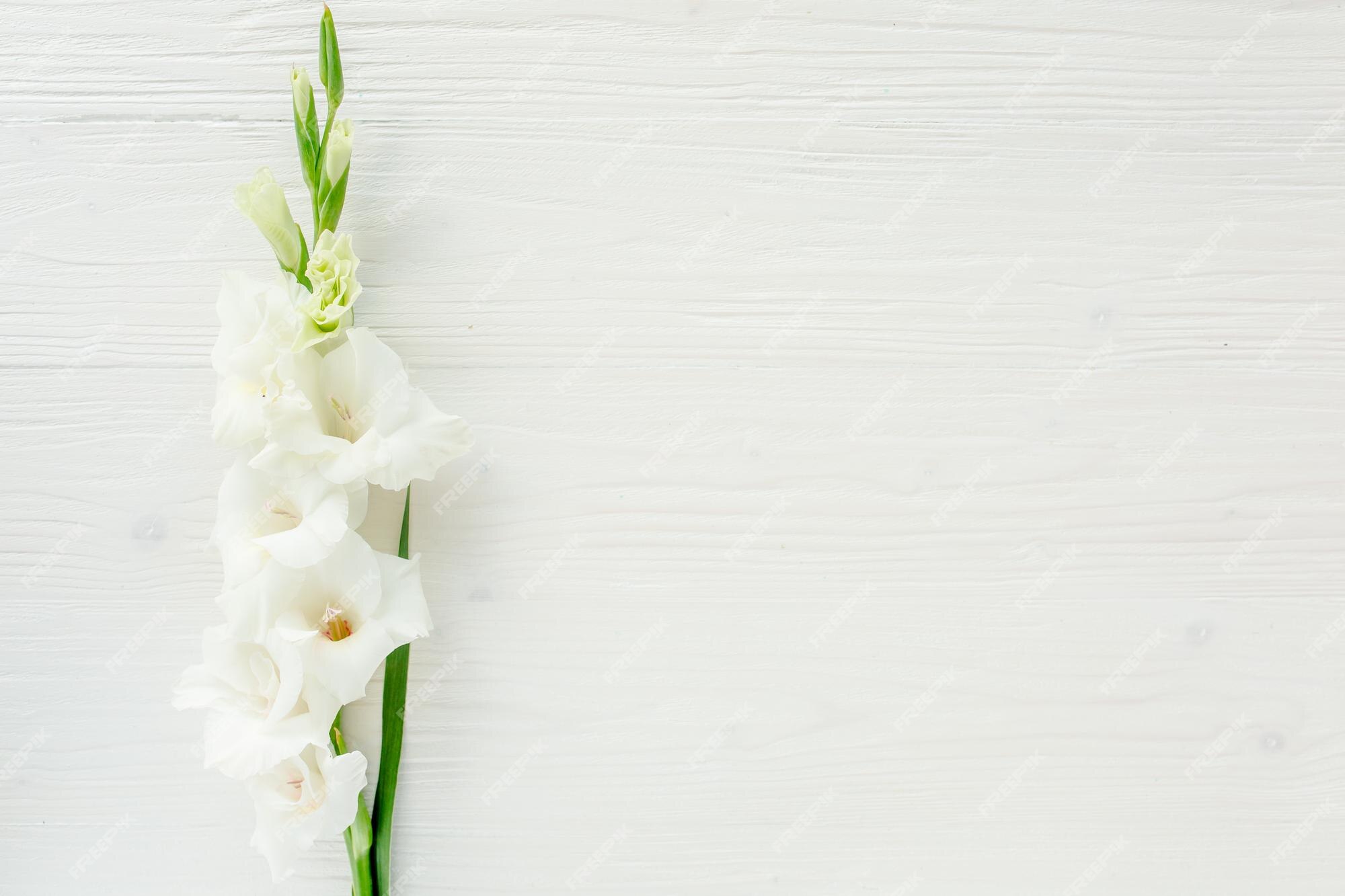 Gladíolos amarelos no padrão floral de fundo branco de madeira de cartão de  saudação de férias de gladíolos plano | Foto Premium