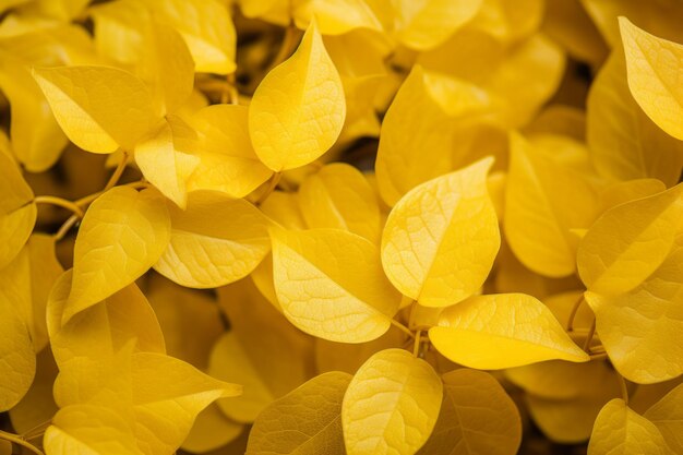 Foto glänzend mit eleganz eine nahaufnahme der goldenblättrigen liane ar 32