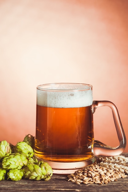 Glas Bier mit Hopfen und Gerste auf dem Holztisch