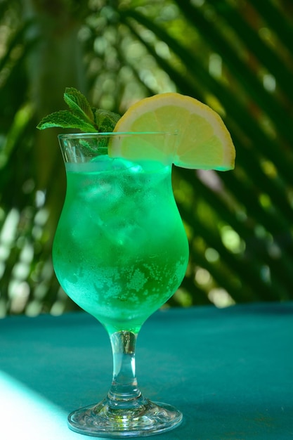 Glas Cocktail grüne Fee mit Zitrone und Minzblättern Süßer erfrischender Minzlikör mit Eis und Absinth-Rum Eiswürfel und Wodka