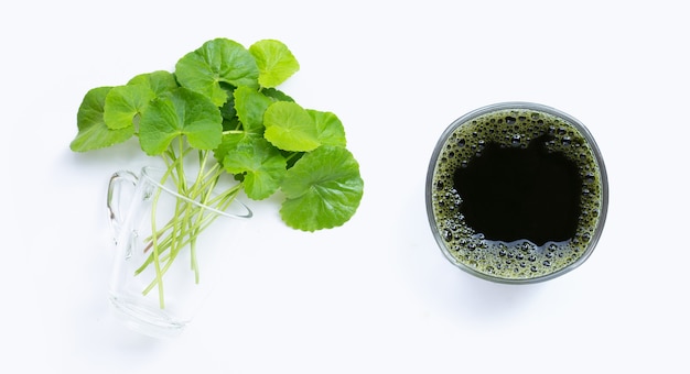 Glas Gotu Kola verlässt Saft für die Gesundheit auf weißem Hintergrund. Kopieren