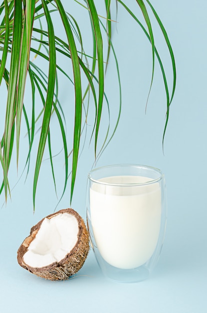 Glas Kokosmilch und Palmblätter auf blauer Wand. Vegetarisches Bio-Getränk.