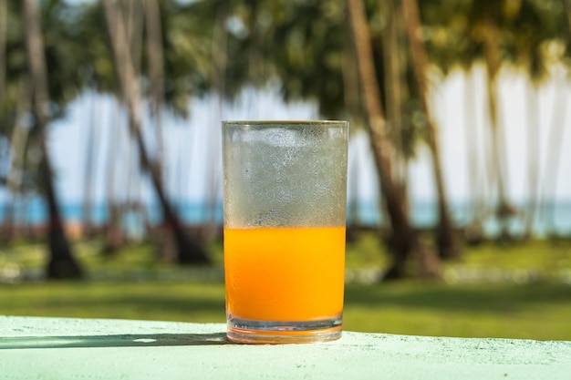 Glas mit frisch gepresstem Saft aus tropischen Früchten