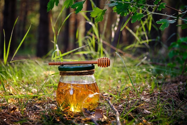 Glas mit frischem Honig und Löffel für Honig im Wald