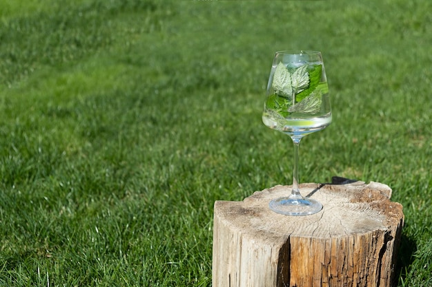 Glas mit Minzblättern und Limettenscheiben erfrischender Sommergetränkrasen