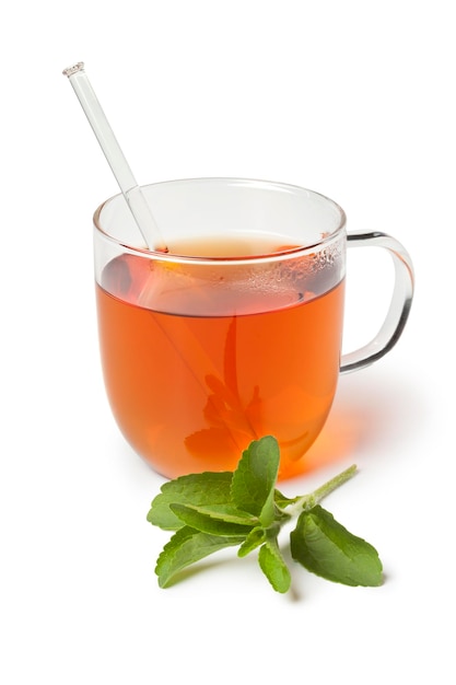 Glas mit Tee und frischen Stevia-Blättern
