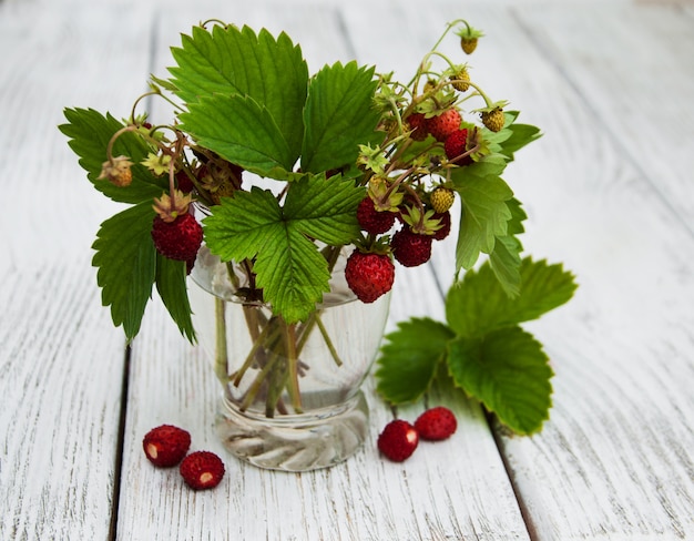 Glas mit Walderdbeeren