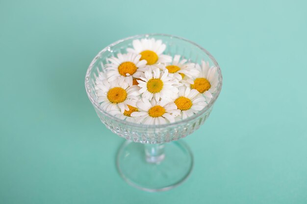 Foto glas mit wasser- und kamillenblüten, blühend