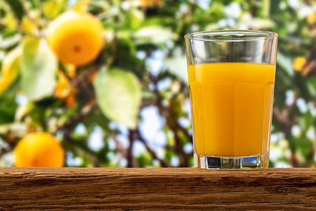 Glas Orangensaft auf Naturhintergrund.