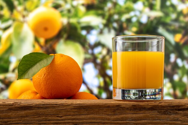 Glas Orangensaft auf Naturhintergrund.