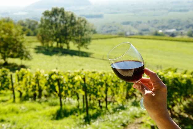 Glas Rotwein der Sonne ausgesetzt