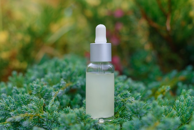 Glas-Tropfflasche für kosmetisches Öl oder Serum auf Gras