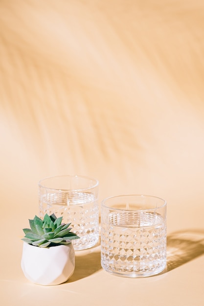 Glas Wasser auf Pastelloberfläche mit tropischem Palmblattschatten und Sukkulente