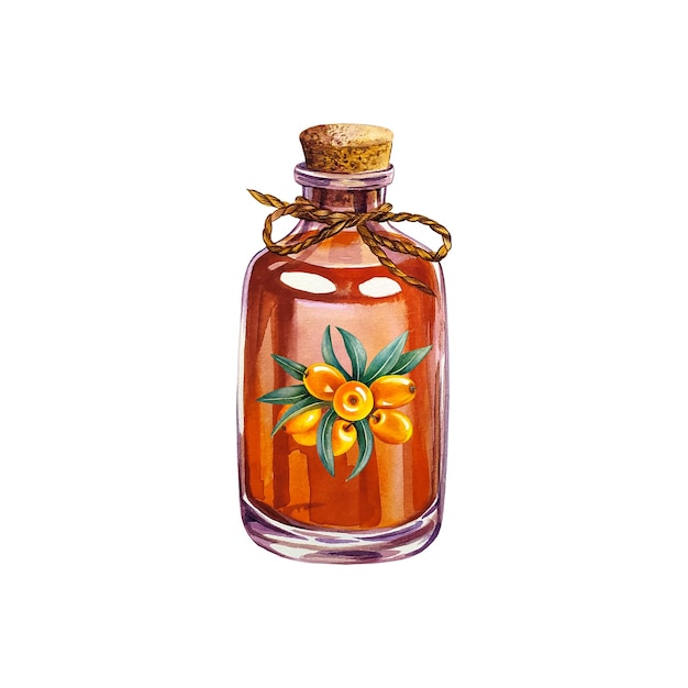 Glasflasche mit Sanddornöl Aquarellillustration