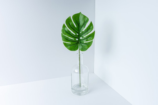 Glasflasche mit tropischem grünem Monstera-Palmblatt