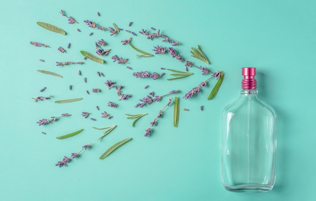 Glasflasche Parfüm und Blätter und Blumen auf grünblauem Hintergrund Konzept eines organischen Lavendelduftes