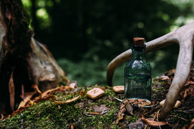 Glasflaschen sind gefüllt mit magischen Zutaten Zaubertrank mysteriöser Wald