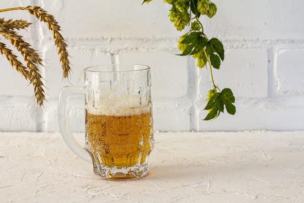 Glaskrug Bier mit Gerstenähren und einem Hopfenzweig auf dem weißen Hintergrund.