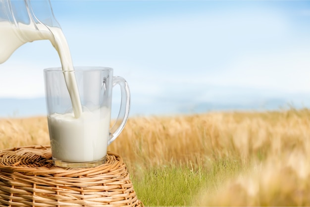 Glaskrug mit frischer Milch im Hintergrund