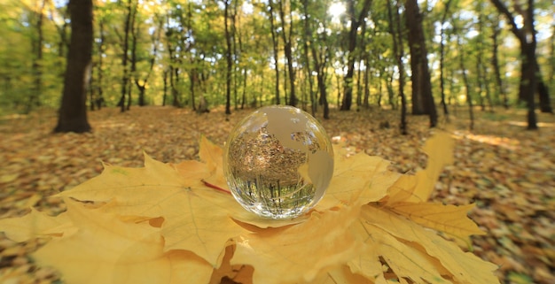 Glaskugel auf Herbstlandschaft