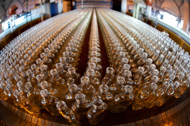 Glassworks Indústria de vidro Muitas garrafas de vidro em um transportador de fábrica