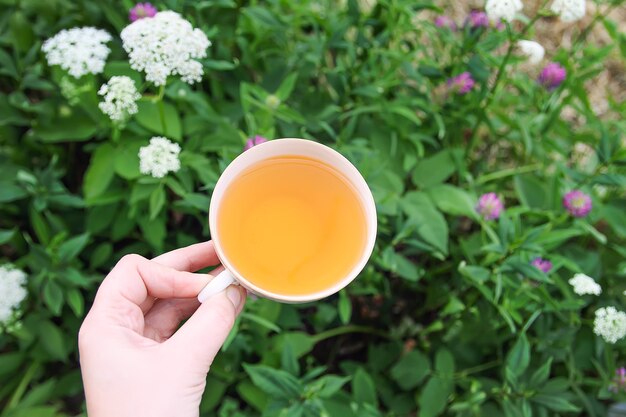 Glastasse grüner Tee mit Jasminblüten in einer Hand auf blühendem Pflanzenhintergrund.