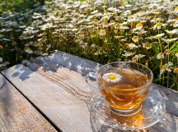 Glasteetasse mit Kamillentee zwischen blühenden Gänseblümchen in den Strahlen der untergehenden Sonne in Griechenland