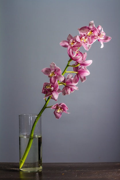 Glasvase mit Zweig der lila Orchideen