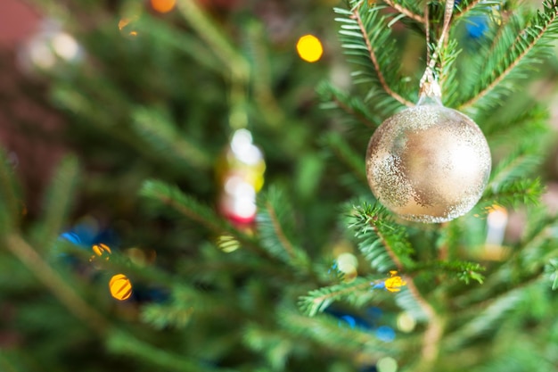 Glasverzierungen auf Zweigen des Live-Weihnachtsbaums